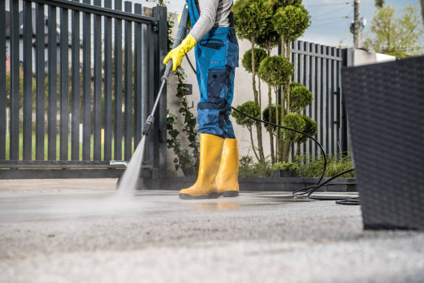 Best Roof Washing  in Big Le, AK